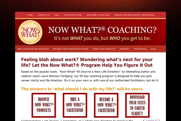 nowwhatcoaching.com site used Now-what-coaching-brandid-2020