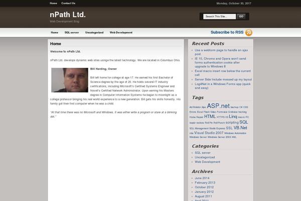 npathweb.com site used Wp-themes-blogger