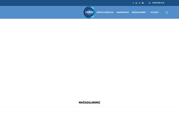 Nrg theme site design template sample