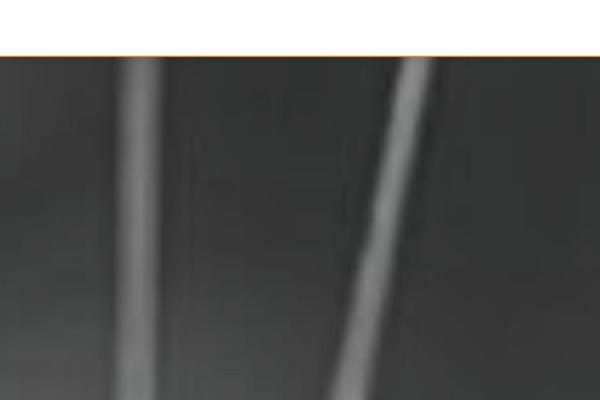 Site using Header-footer-elementor plugin