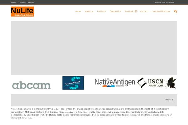 StartFlow website example screenshot