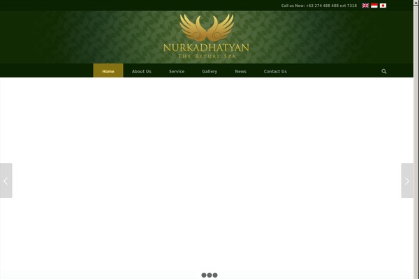 Nur theme websites examples