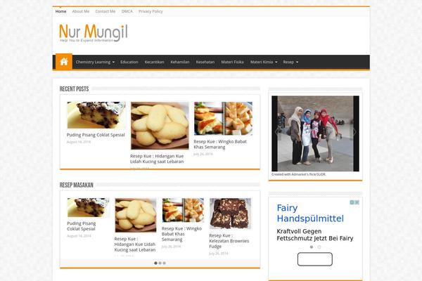 Sahifa theme site design template sample