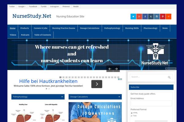 WordPress website example screenshot