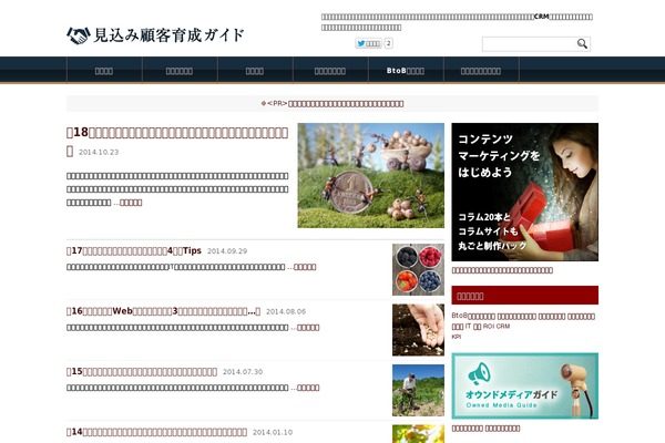 nurturing-guide.jp site used Nurturing_m