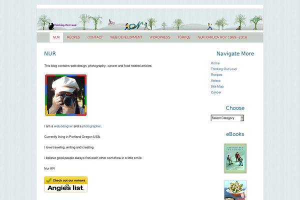 DBN-perfect theme websites examples