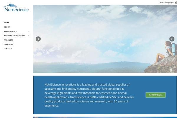 Site using Google Language Translator plugin