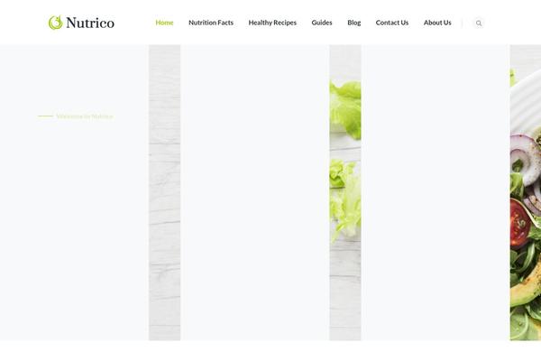 Nutrico theme site design template sample