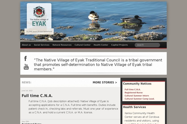 nveyak.com site used Nve