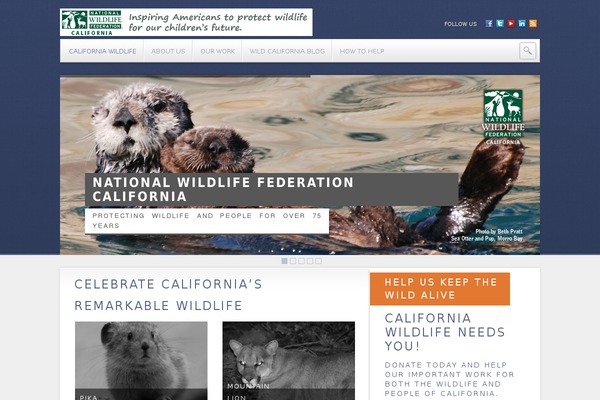 Animal_care_theme theme site design template sample