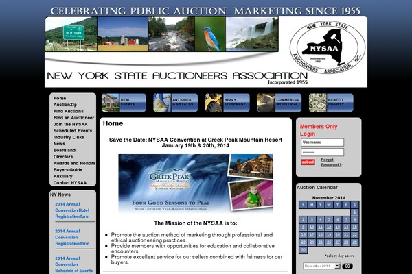 nysaa theme websites examples