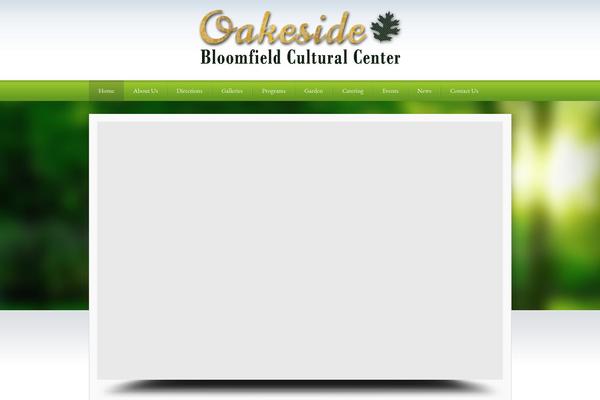 The-cause theme site design template sample