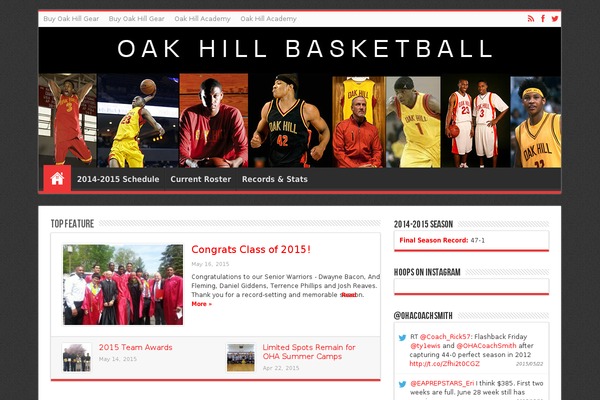 WordPress website example screenshot