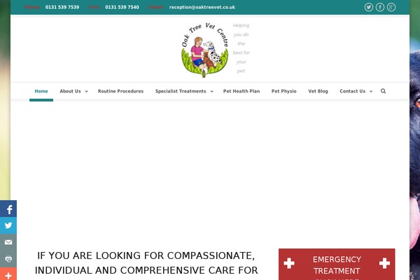 Corporative theme site design template sample