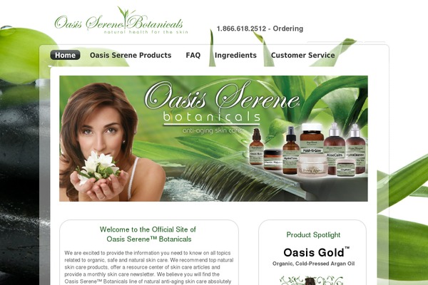 Site using All in One SEO Pack plugin
