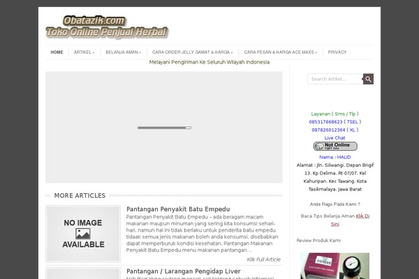 WordPress website example screenshot
