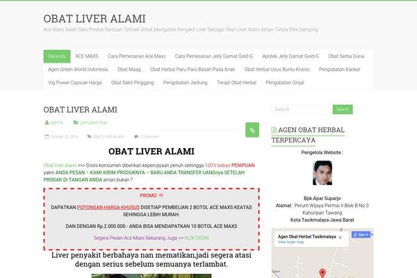 Accelerate theme site design template sample