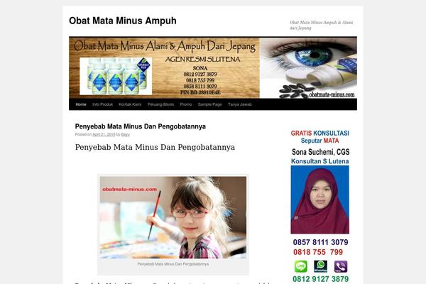 WordPress website example screenshot