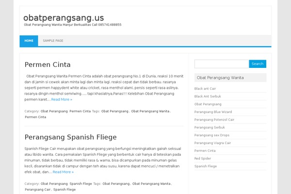 WordPress website example screenshot