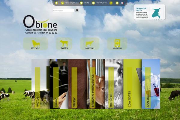 obione.fr site used Obione