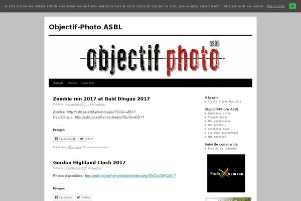 Site using WP Socializer plugin