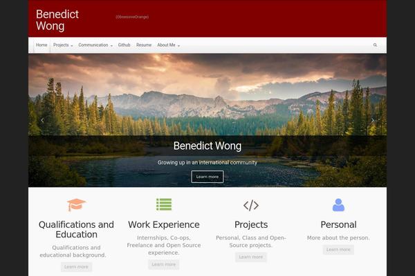 WordPress website example screenshot