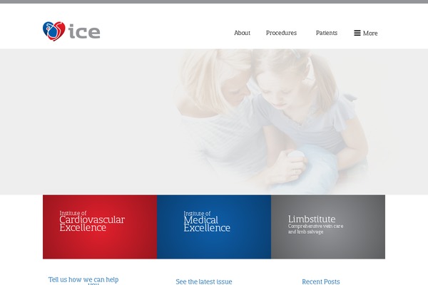 ocalaice.com site used Puticeonit