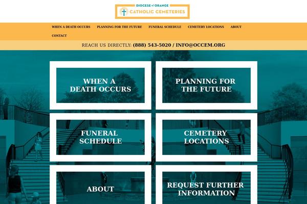 Site using Brightcove-video-cloud plugin