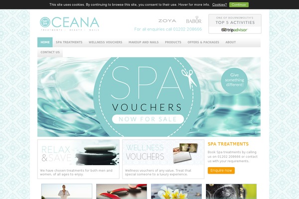 WordPress website example screenshot