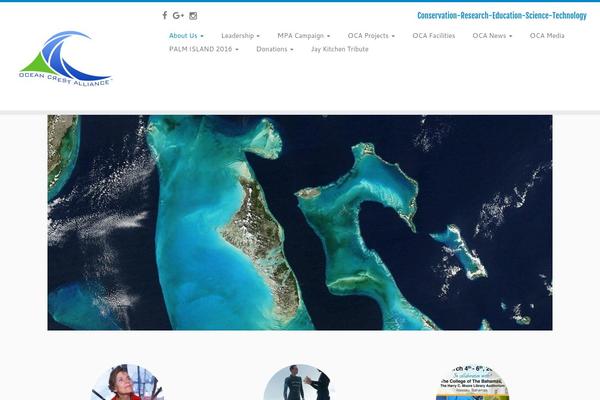 Customizr theme site design template sample