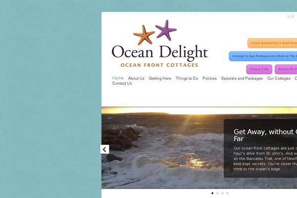 Site using Bloom plugin