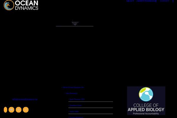 Avada theme site design template sample