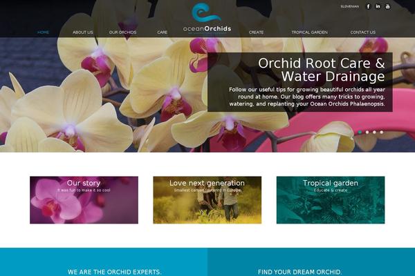 oceanorchids.si site used Oceanorchids-theme