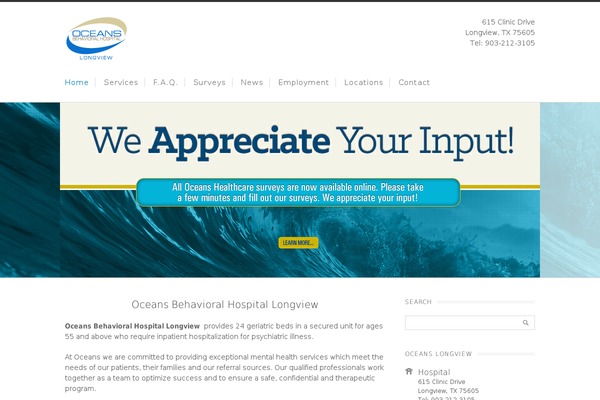 WordPress website example screenshot