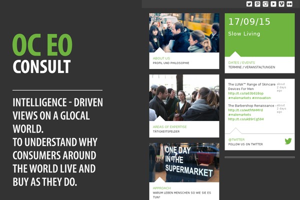 oceo-consult.com site used Oceo