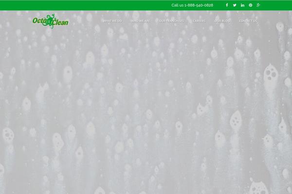 octoclean.com site used Octoclean