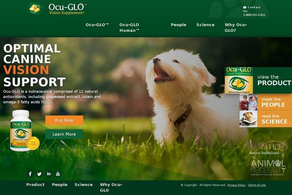 ocuglo.com site used Ocuglo