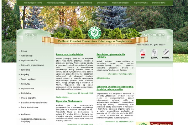 Divi theme site design template sample