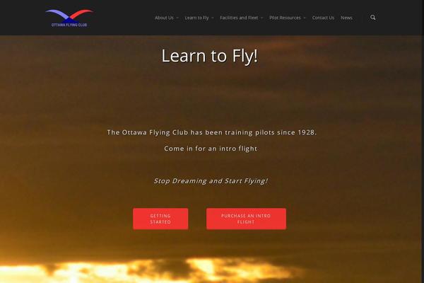 Salient theme site design template sample