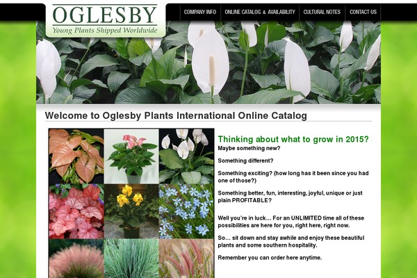 oglesbytc.com site used Oglesby