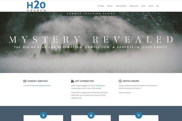 Enfold theme site design template sample