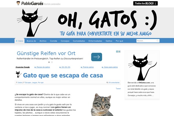 ohgatos.com site used Gatos