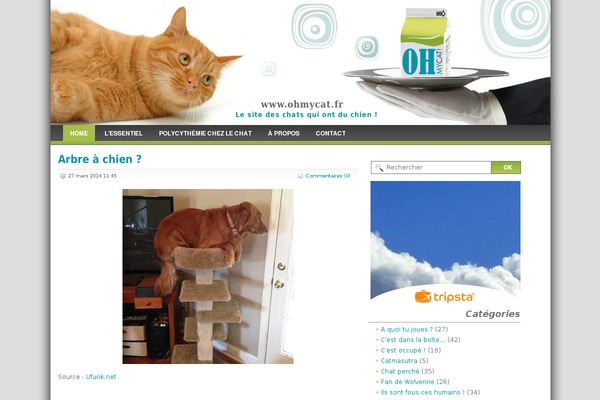 ohmycat.fr site used Ohmycat
