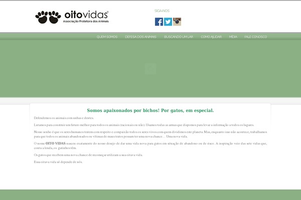 oitovidas.org.br site used Oitovidas