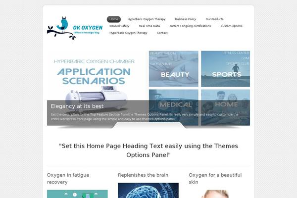 Dzonia Lite theme site design template sample