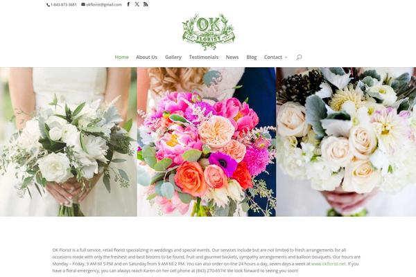 Divi Child theme site design template sample