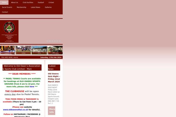 WordPress website example screenshot