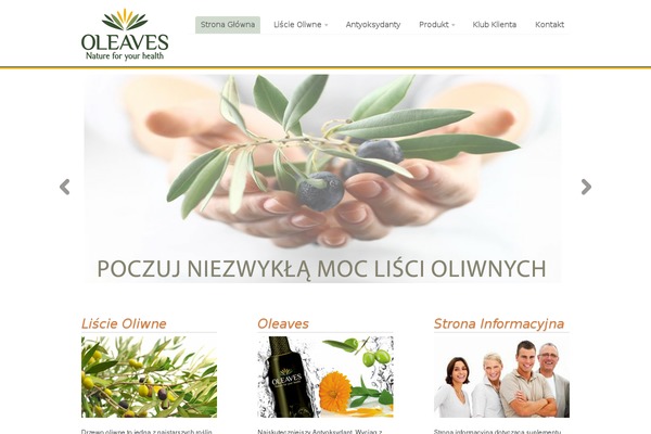 theme55218 theme websites examples