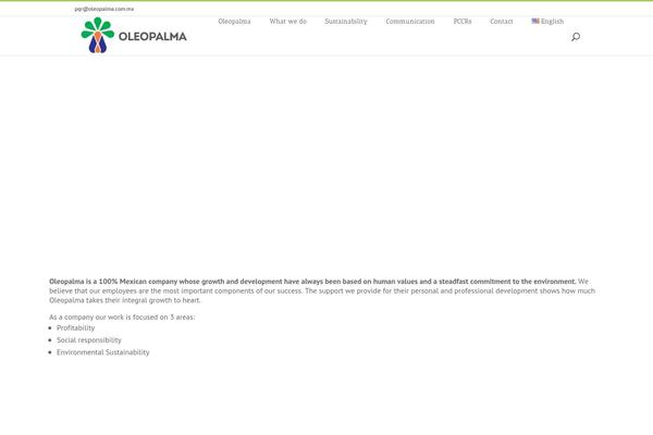 Divi theme site design template sample