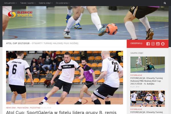 olesnickisport.pl site used Stripes